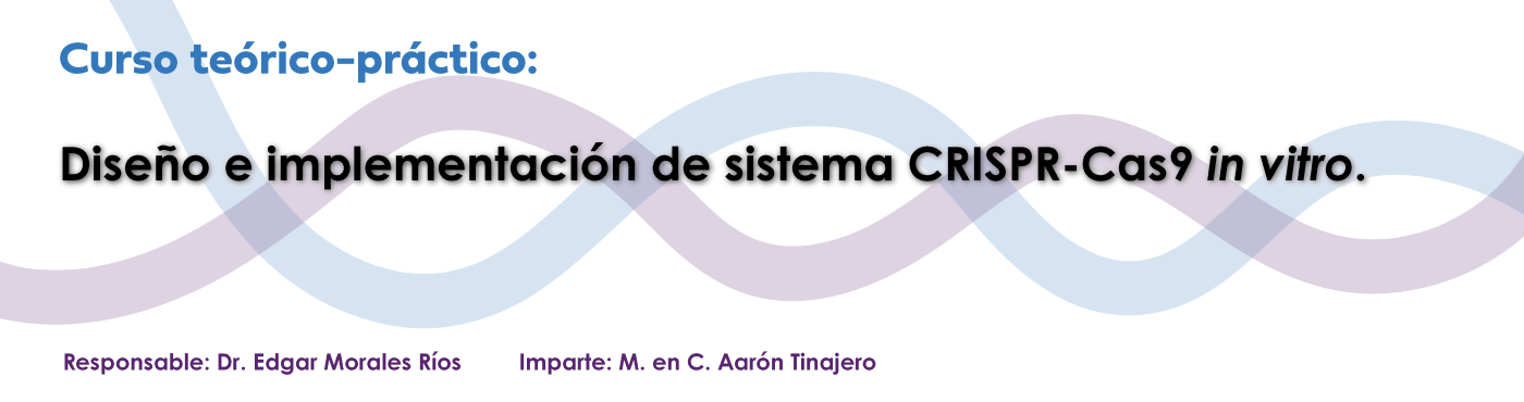 Curso Teórico Práctico CRISPR